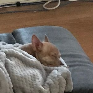 Meet your Posher, Ted